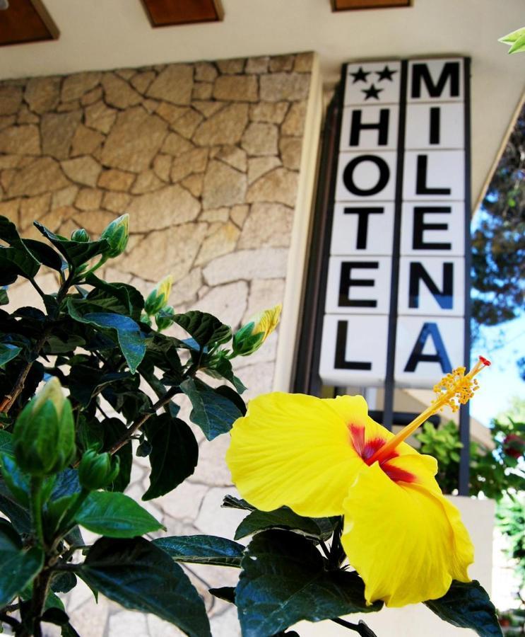 Hotel Milena Rimini Exteriér fotografie